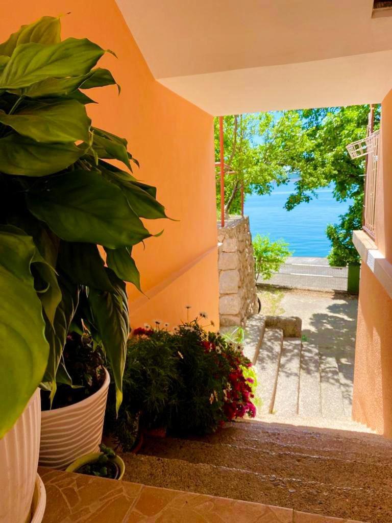 Porat Apartment Starigrad Paklenica Ngoại thất bức ảnh